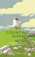 Counting Sheep