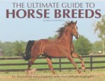 The Ultimate Guide To Horse Breeds