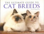 The Ultimate Guide to Cat Breeds