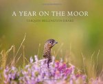 Year on the Moor
