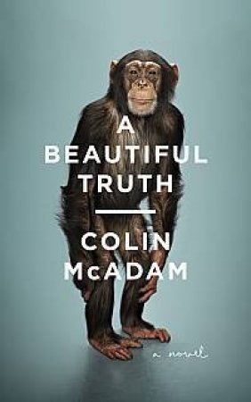 A Beautiful Truth by Colin McAdam