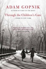 Through the Childrens Gate
