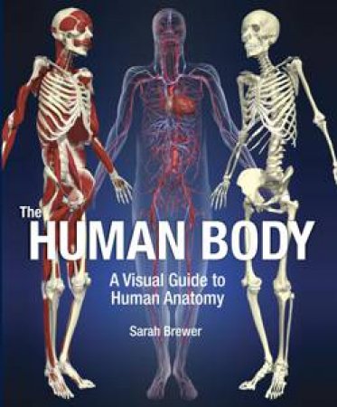Human Body: A Visual Guide to Human Anatomy by Sarah Brewer