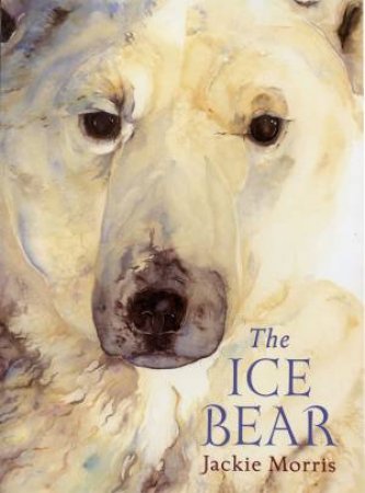 The Ice Bear (Mini Edition) by Jackie Morris