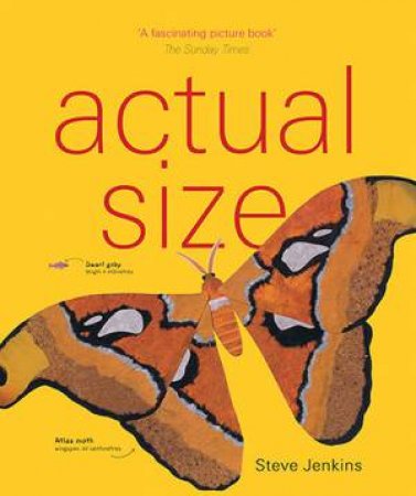 Actual Size by Steve Jenkins