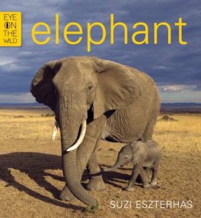 Eye on the Wild: Elephant by Suzi Eszterhas