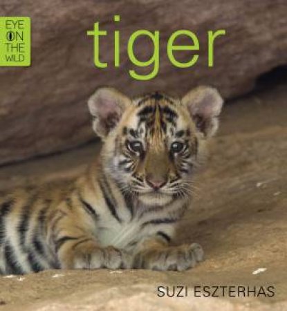 Eye on the Wild: Tiger by Suzi Eszterhas