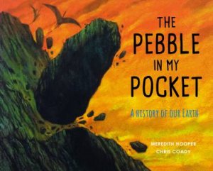 Pebble In My Pocket by Meredith Hooper & Chris Coady