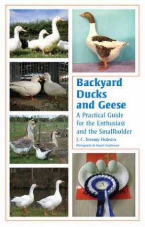 Backyard Ducks and Geese by J. C. Jeremy Hobson & Rupert Stephenson