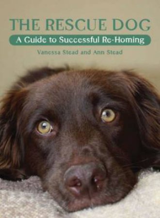 The Rescue Dog by Vanessa Stead