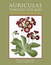 Auriculas Through the Ages Bears Ears Ricklers and Pinted Ladies