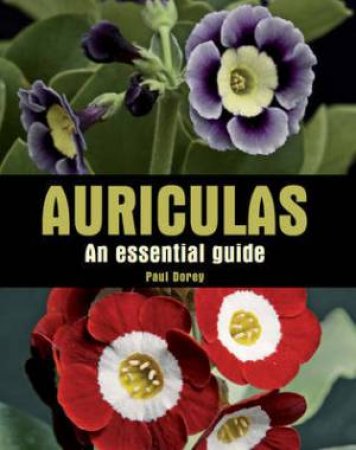 Auricules: An Essential Guide by DOREY PAUL