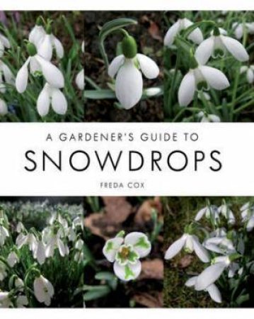 Gardener's Guide to Snowdrops by COX FREDA