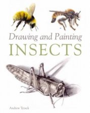 Drawing and Painting Insects