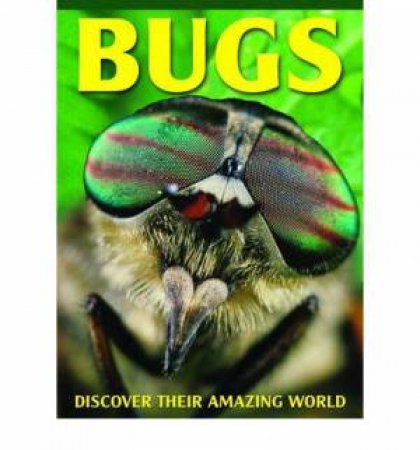 3D Bugs by Barbara Taylor