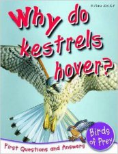 Why Do Kestrels Hover