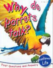 Why Do Parrots Talk