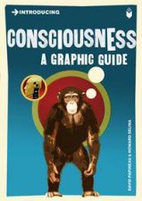 Consciousness A Graphic Guide