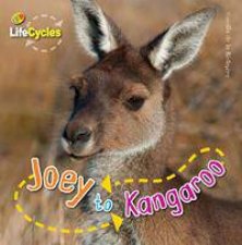 Lifecycles Joey to Kangaroo