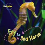 Life Cycles Fry to Seahorse