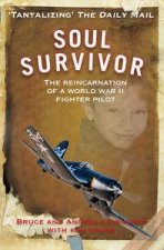 Soul Survivor The Reincarnation of a World War II Fighter Pilot