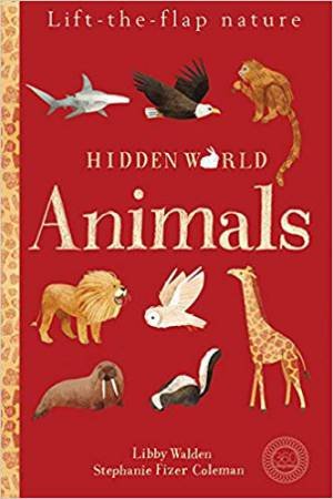 Hidden World: Animals by Libby Walden & Stephanie Fizer Coleman