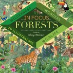 In Focus Forests
