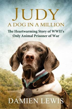 Judy: A Dog in a Million by Damien Lewis