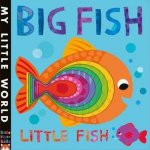 My Little World Big Fish Little Fish