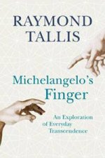 Michelangelos Finger An Exploration of Everyday Transcendence