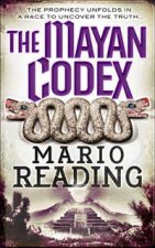 Mayan Codex