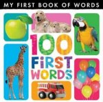 My First Book Of Words 100 First Words