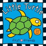 Little Turtle