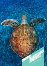 Wildlife Photographer of the Year Book of Postcards