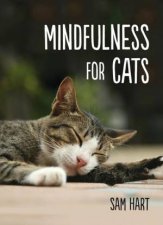 Mindfulness For Cats
