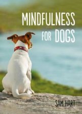 Mindfulness For Dogs