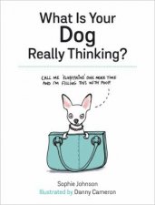 What Is Your Dog Really Thinking