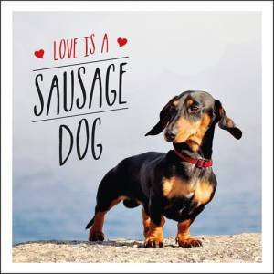 Love Is A Sausage Dog by Charlie Ellis