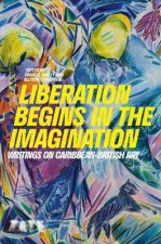 Liberation Begins In The Imagination A Reader