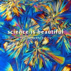 Science is Beautiful: The Human Body by Colin Salter & Various 
