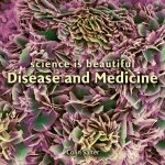 Science Is Beautiful Disease And Medicine Under The Microscope