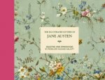 The Illustrated Letters Of Jane Austen