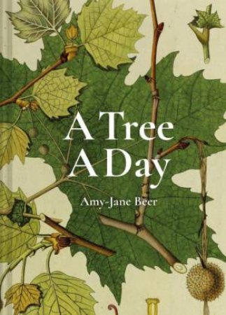 A Tree A Day by Amy-Jane Beer