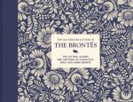 The Illustrated Letters Of The Brontes