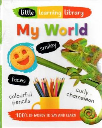 Little Learning Library: My World by Various
