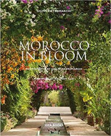 Morocco In Bloom