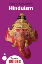 Hinduism A Beginners Guide