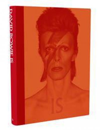 David Bowie Is by Victoria Broackes & Geoffrey Marsh