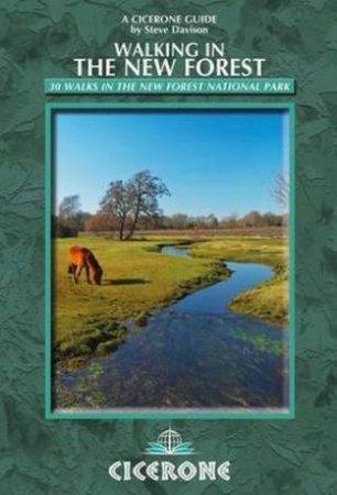 Walking in the New Forest by Steve Davison