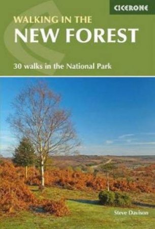 Walking In The New Forest by Steve Davison